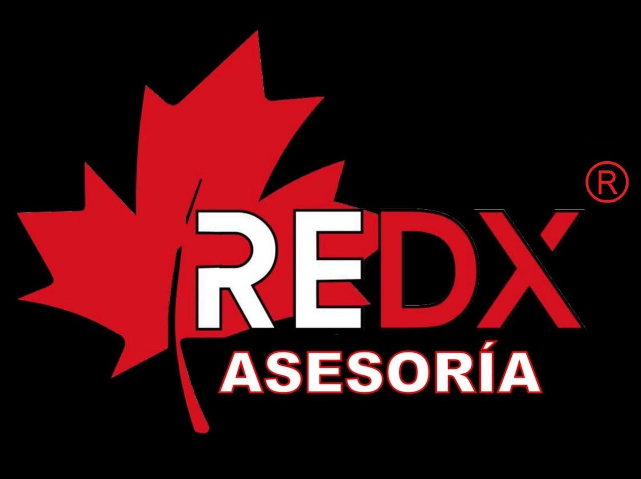 REDX ASESORIA 